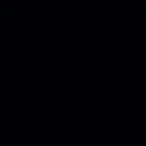 Meet your Posher, Darius